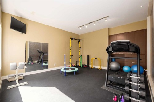 57 Slopes Point Sw, Calgary, AB - Indoor Photo Showing Gym Room
