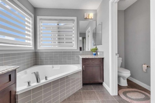 225 Cornerstone Manor Ne, Calgary, AB - Indoor Photo Showing Bathroom