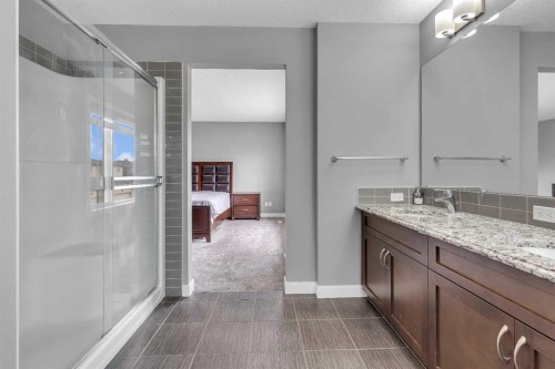 225 Cornerstone Manor Ne, Calgary, AB - Indoor Photo Showing Bathroom