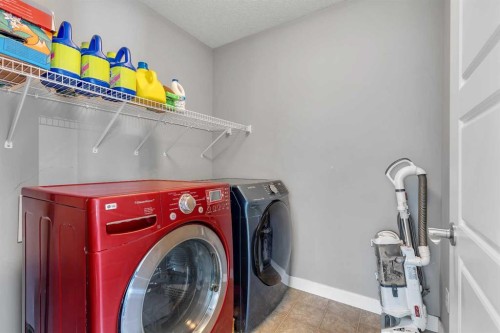 225 Cornerstone Manor Ne, Calgary, AB - Indoor Photo Showing Laundry Room