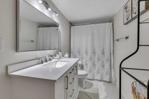 225 Cornerstone Manor Ne, Calgary, AB - Indoor Photo Showing Bathroom