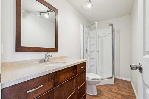 460 Silverado Plains Circle Sw, Calgary, AB - Indoor Photo Showing Bathroom