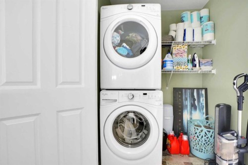 243 Cornerstone Avenue Ne, Calgary, AB - Indoor Photo Showing Laundry Room
