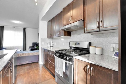 243 Cornerstone Avenue Ne, Calgary, AB - Indoor Photo Showing Kitchen With Upgraded Kitchen