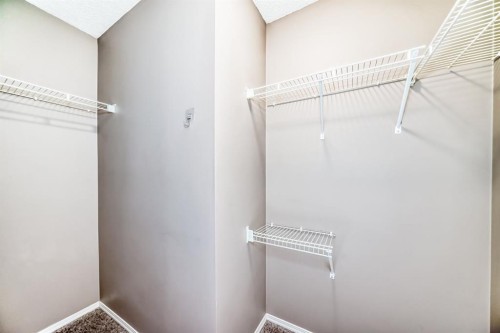 252 Stonemere Place, Chestermere, AB - Indoor With Storage