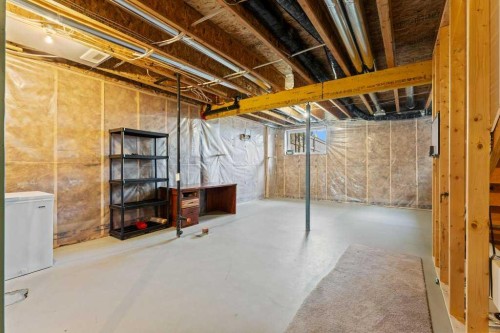251 Sunrise View, Cochrane, AB - Indoor Photo Showing Basement