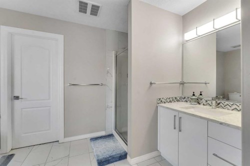 228 Covemeadow Court Ne, Calgary, AB - Indoor Photo Showing Bathroom