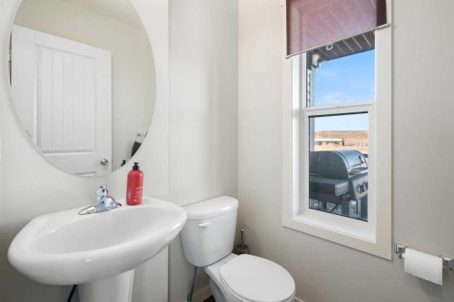 325 Copperpond Landing Se, Calgary, AB - Indoor Photo Showing Bathroom
