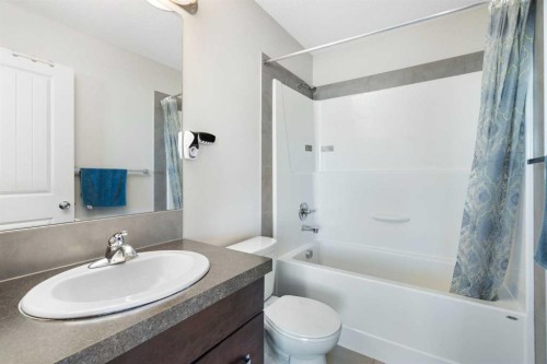 325 Copperpond Landing Se, Calgary, AB - Indoor Photo Showing Bathroom