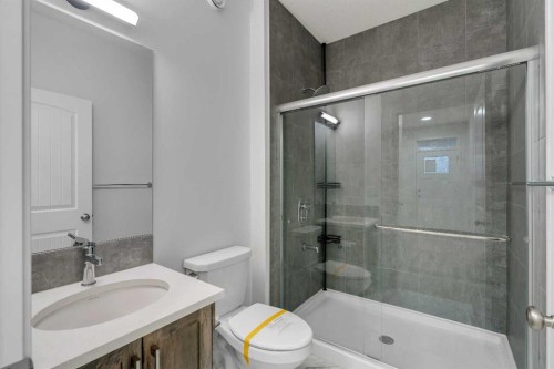 117 Cornerbrook Road Ne, Calgary, AB - Indoor Photo Showing Bathroom