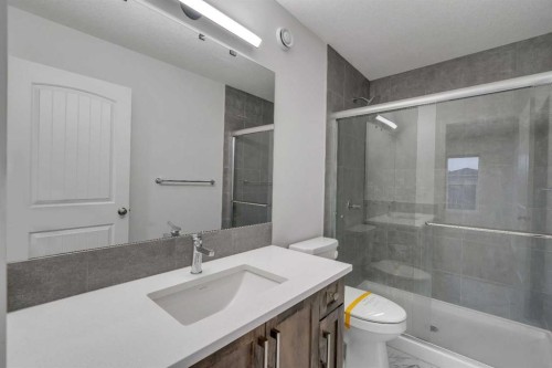 117 Cornerbrook Road Ne, Calgary, AB - Indoor Photo Showing Bathroom