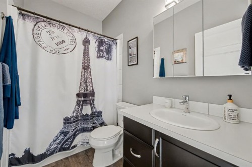 49 Aztec Crescent, Blackfalds, AB - Indoor Photo Showing Bathroom