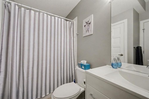49 Aztec Crescent, Blackfalds, AB - Indoor Photo Showing Bathroom