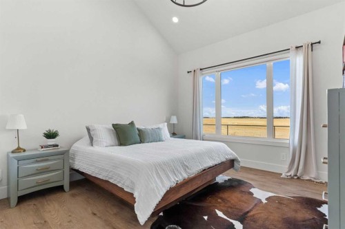79 Sandpiper Bend, Chestermere, AB - Indoor Photo Showing Bedroom