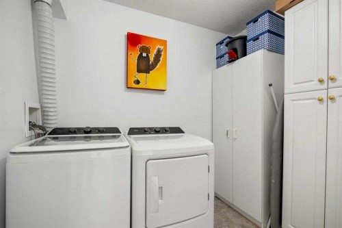 1208 Millrise Point Sw, Calgary, AB - Indoor Photo Showing Laundry Room