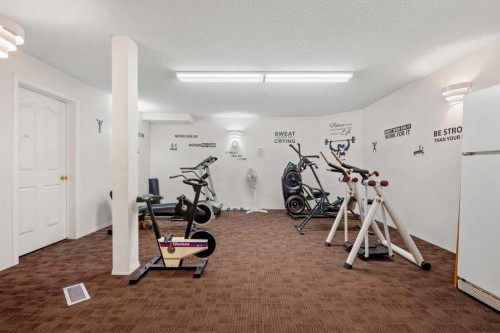 1208 Millrise Point Sw, Calgary, AB - Indoor Photo Showing Gym Room