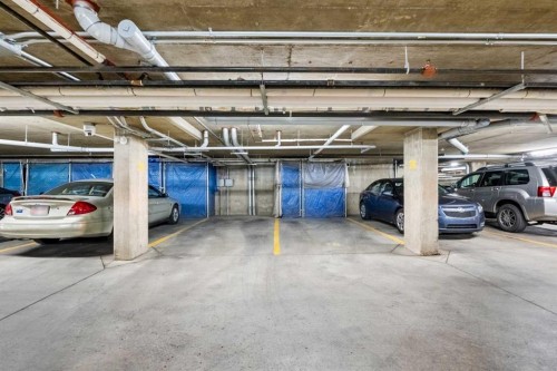 1208 Millrise Point Sw, Calgary, AB - Indoor Photo Showing Garage