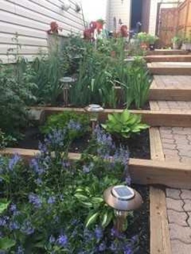 3 Hawkcliff Way Nw, Calgary, AB - Outdoor