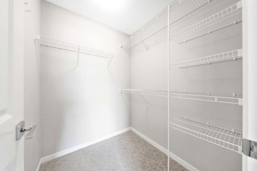369 D'Arcy Ranch Drive, Okotoks, AB - Indoor With Storage
