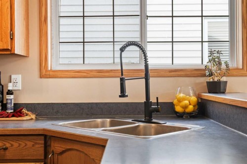 306 Coventry Road Ne, Calgary, AB - Indoor Photo Showing Kitchen With Double Sink