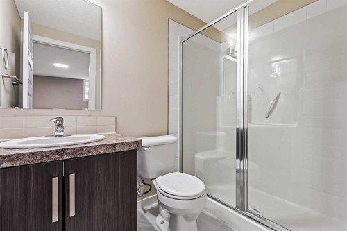 147 Mckenzie Towne Close Se, Calgary, AB - Indoor Photo Showing Bathroom