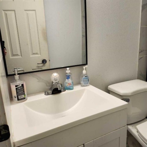 19 Margate Place Ne, Calgary, AB - Indoor Photo Showing Bathroom