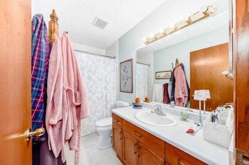 173 Citadel Hills Circle Nw, Calgary, AB - Indoor Photo Showing Bathroom