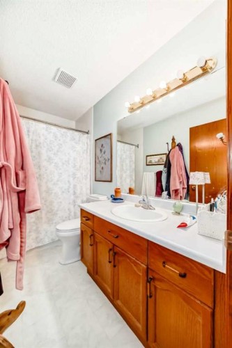 173 Citadel Hills Circle Nw, Calgary, AB - Indoor Photo Showing Bathroom