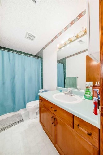 173 Citadel Hills Circle Nw, Calgary, AB - Indoor Photo Showing Bathroom