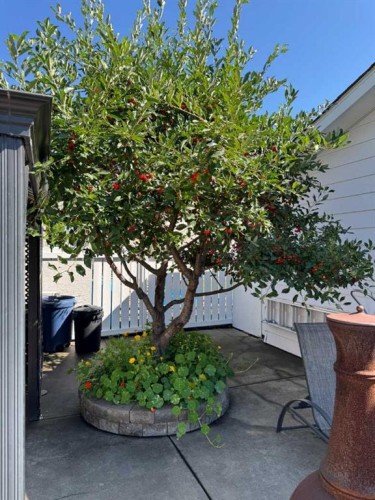 9936 Warren Road Se, Calgary, AB - Outdoor