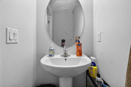 43 Cityside Terrace Ne, Calgary, AB - Indoor Photo Showing Bathroom
