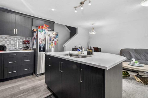 43 Cityside Terrace Ne, Calgary, AB - Indoor Photo Showing Kitchen With Double Sink