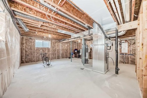 43 Carrington Crescent Nw, Calgary, AB - Indoor Photo Showing Basement