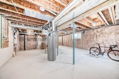 43 Carrington Crescent Nw, Calgary, AB - Indoor Photo Showing Basement