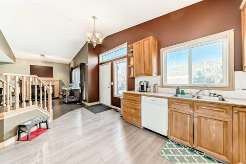 52 Douglas Ridge Close Se, Calgary, AB - Indoor Photo Showing Kitchen With Double Sink
