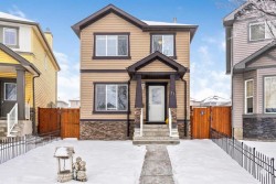 11 Saddlebrook Mews NE Calgary, AB T3J 0B3