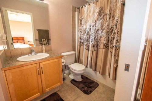 11 Saddlebrook Mews Ne, Calgary, AB - Indoor Photo Showing Bathroom