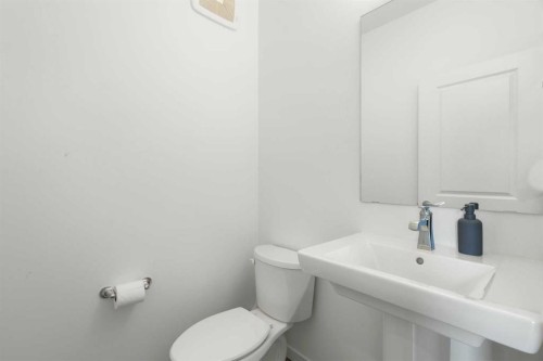 248 Masters Row Se, Calgary, AB - Indoor Photo Showing Bathroom