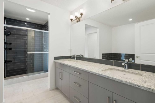 248 Masters Row Se, Calgary, AB - Indoor Photo Showing Bathroom