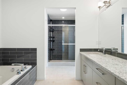 248 Masters Row Se, Calgary, AB - Indoor Photo Showing Bathroom