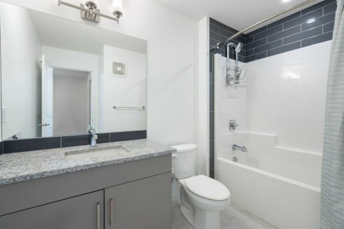 248 Masters Row Se, Calgary, AB - Indoor Photo Showing Bathroom