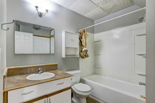 5 Inverness Court Se, Calgary, AB - Indoor Photo Showing Bathroom