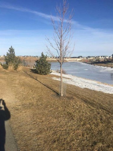 1100 Bayview Gardens Sw, Airdrie, AB - Outdoor With View