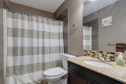 22 Hidden Spring Court Nw, Calgary, AB - Indoor Photo Showing Bathroom
