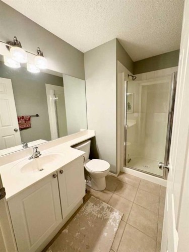 13-43 Springborough Boulevard Sw, Calgary, AB - Indoor Photo Showing Bathroom