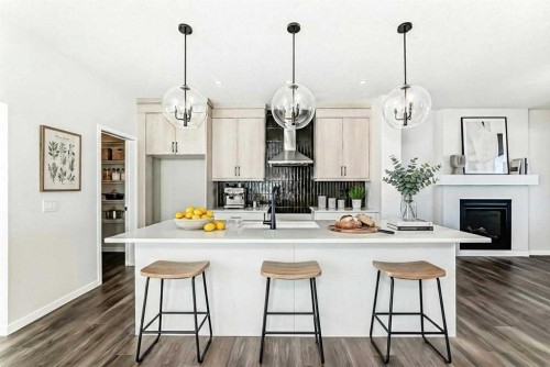 44 Ellen Lane, Crossfield, AB - Indoor Photo Showing Kitchen With Upgraded Kitchen