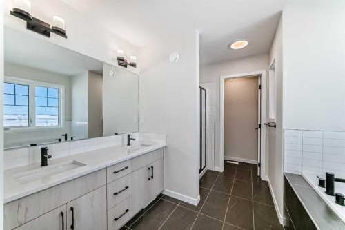 44 Ellen Lane, Crossfield, AB - Indoor Photo Showing Bathroom