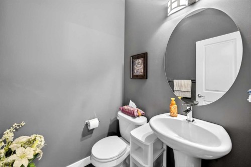 168 Cranford Drive Se, Calgary, AB - Indoor Photo Showing Bathroom