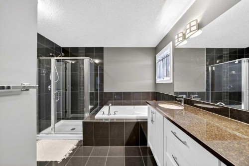 168 Cranford Drive Se, Calgary, AB - Indoor Photo Showing Bathroom