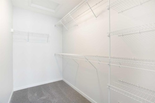 49 Creekside Passage Sw, Calgary, AB - Indoor With Storage